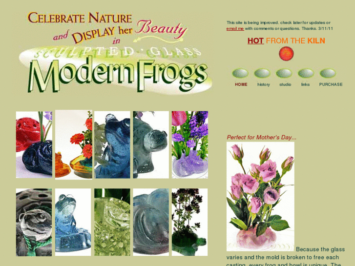 www.modernfrogs.com