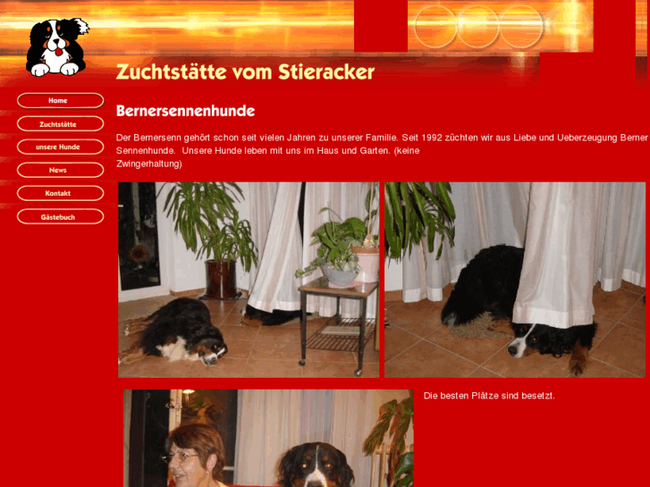 www.stieracker.com