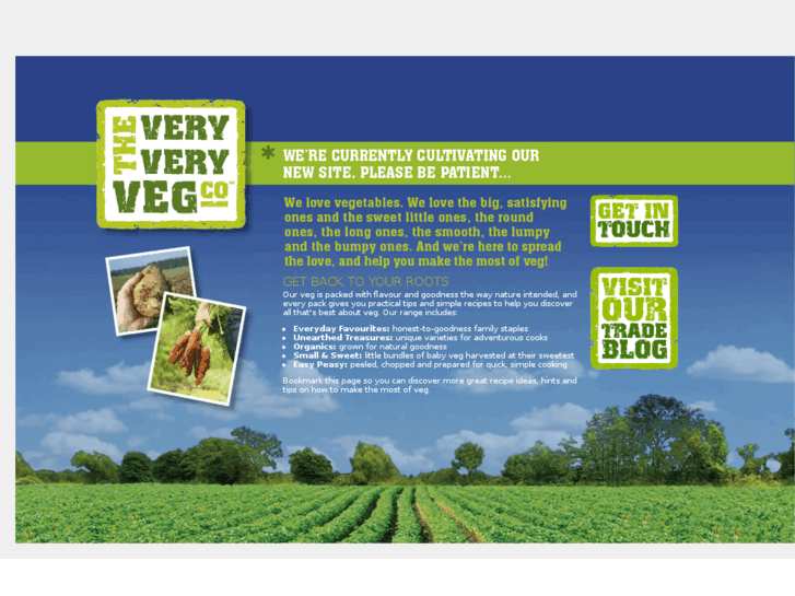 www.vvvegco.com