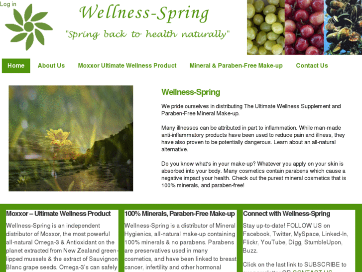 www.wellness-spring.org