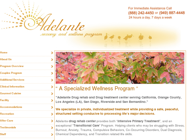 www.adelante-drug-rehab.com