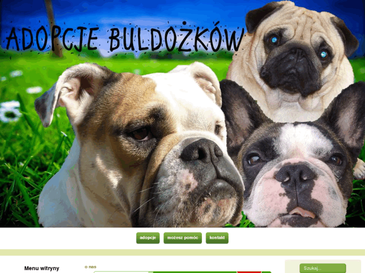 www.adopcjebuldozkow.pl