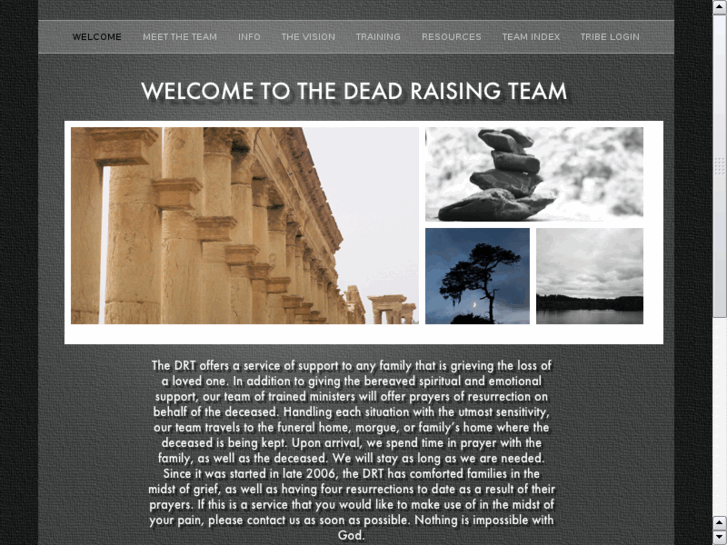 www.deadraisingteam.com
