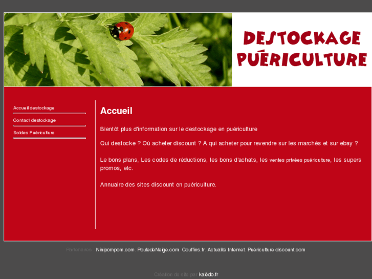 www.destockage-puericulture.com