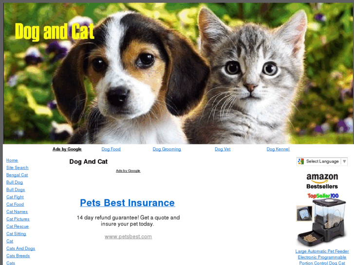 www.dog-cat.info