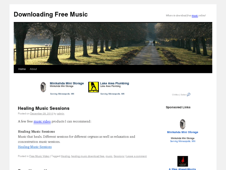 www.downloading-free-music.net