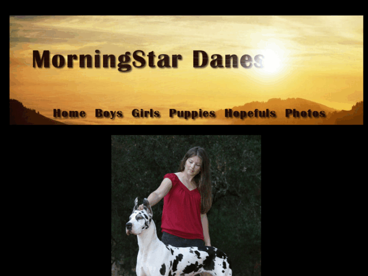 www.morningstardanes.com