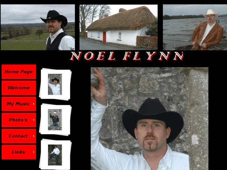 www.noelflynnmusic.com