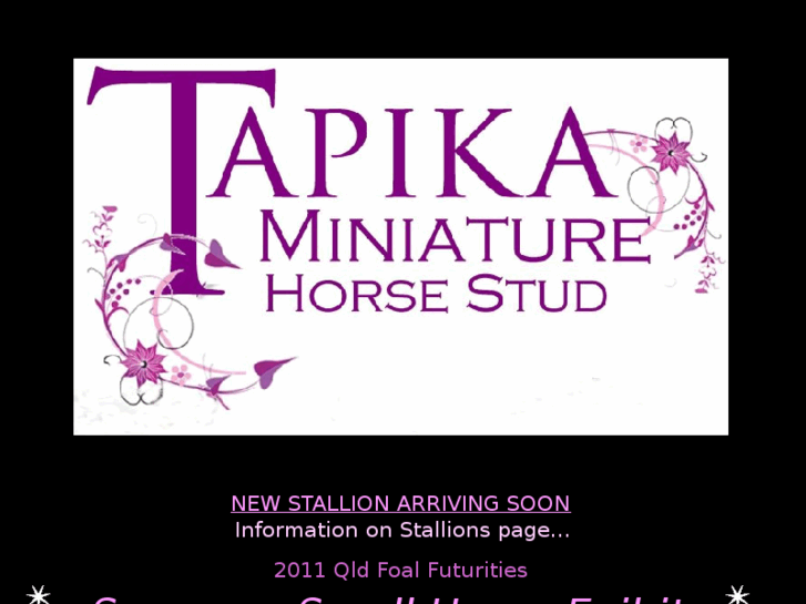 www.tapikastud.com