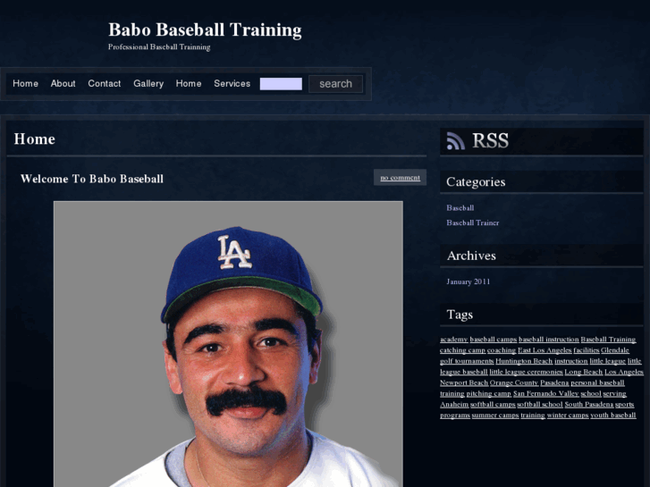 www.babobaseball.com