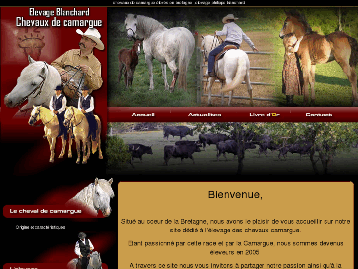 www.cheval-camargue.net