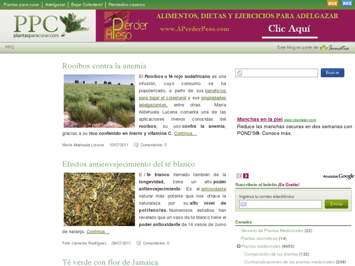 www.plantasparacurar.com