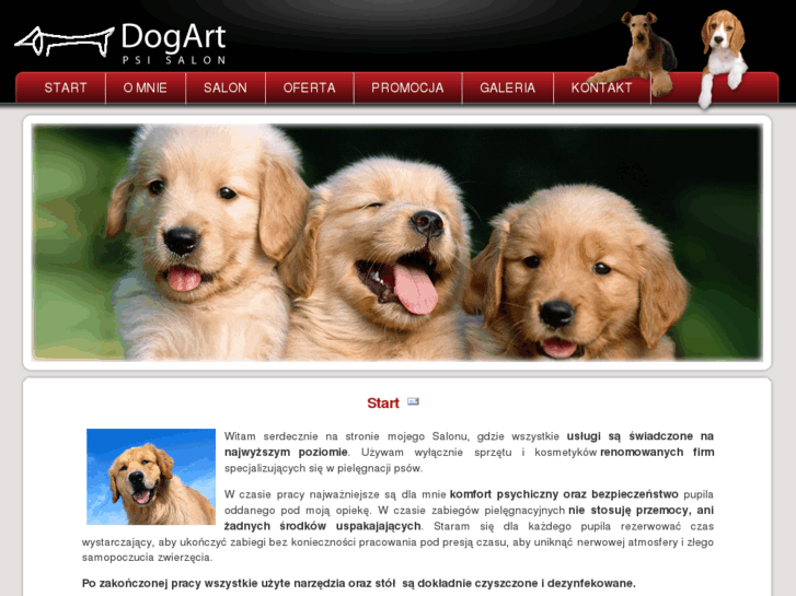 www.salondogart.pl