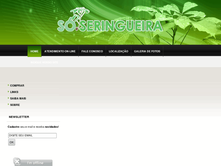 www.soseringueira.com