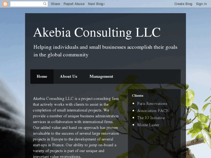 www.akebiaconsultingllc.com