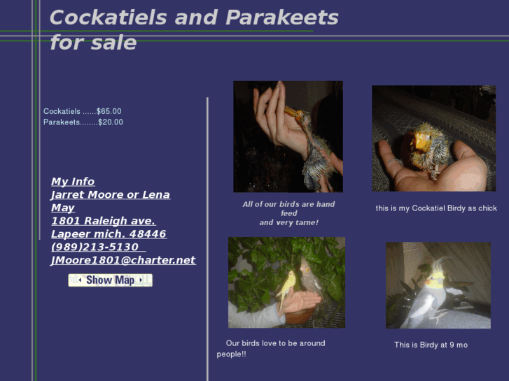 www.cockatielsandparakeetsforsale.com