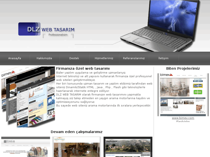 www.dlzwebtasarim.com