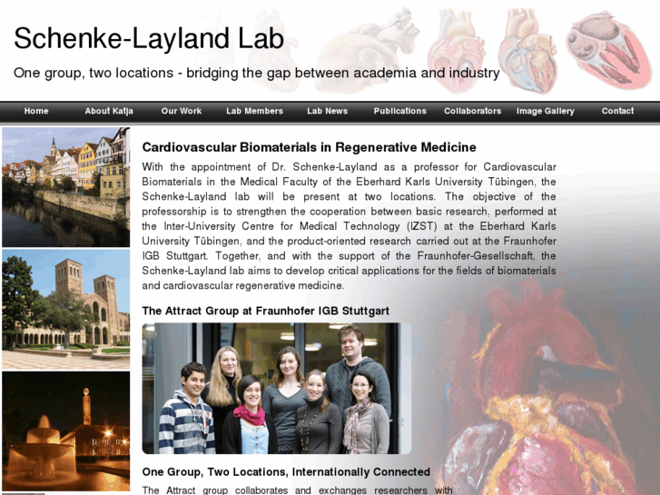 www.schenke-layland-lab.com