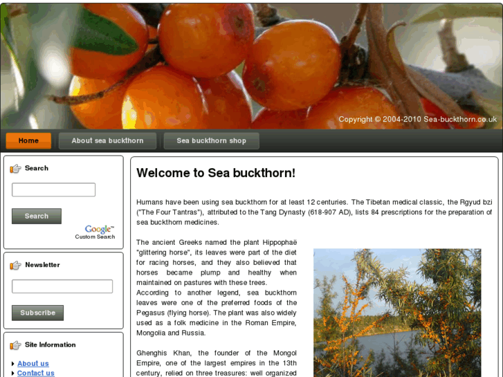 www.sea-buckthorn.co.uk