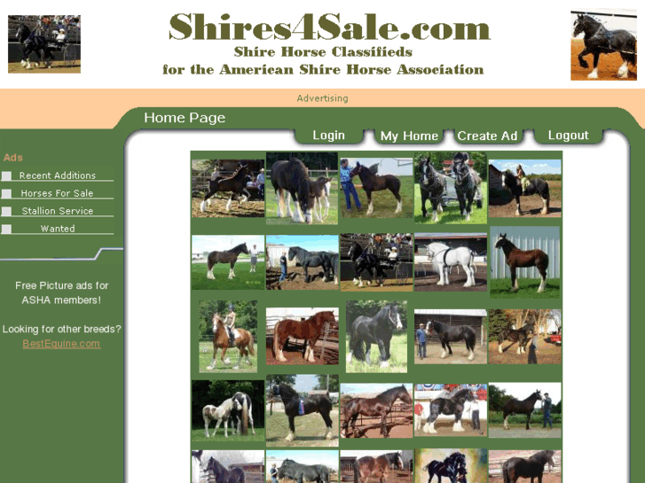 www.shires4sale.com