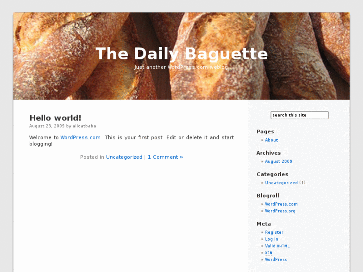 www.thedailybaguette.com