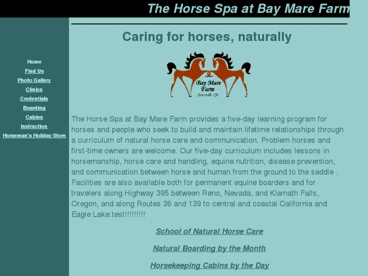 www.bmfhorsespa.com