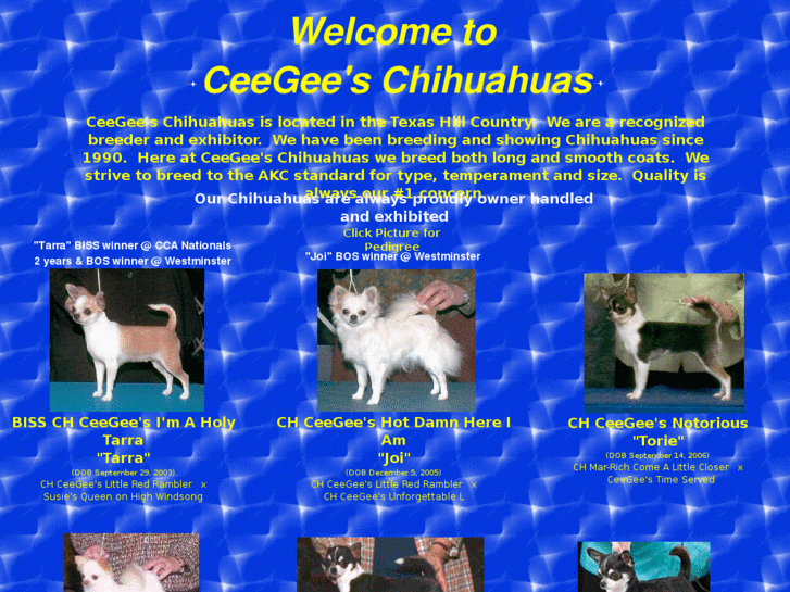 www.ceegees-chihuahuas.com