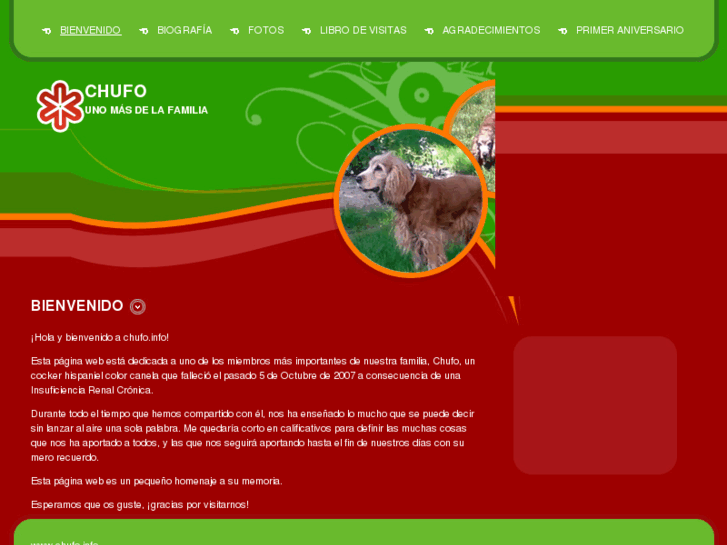 www.chufo.info