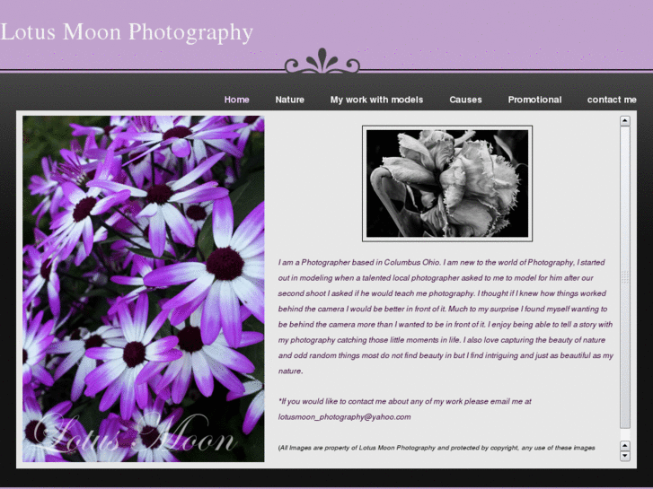 www.lotusmoonphotography.com