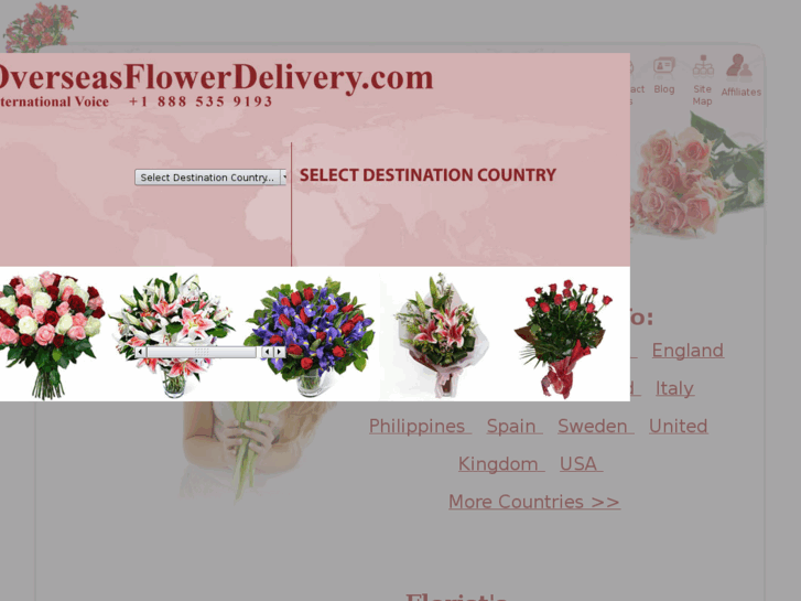 www.overseasflowerdelivery.com