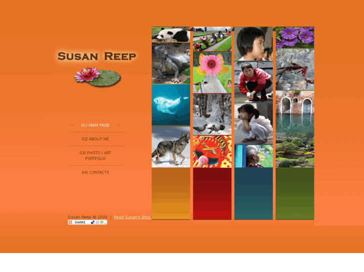 www.susanreep.com