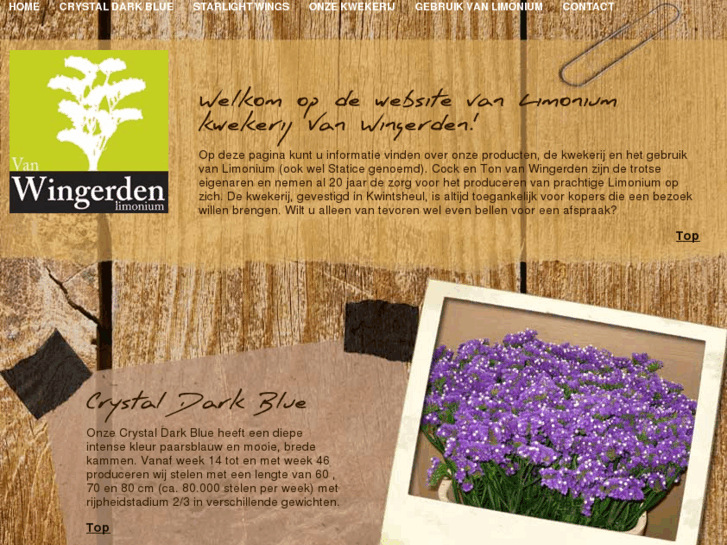 www.vanwingerdenlimonium.nl