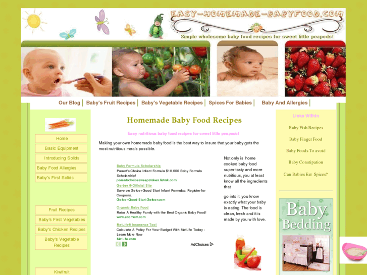 www.easy-homemade-babyfood.com