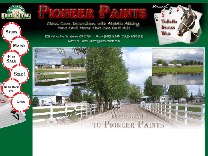 www.pioneerpaints.com