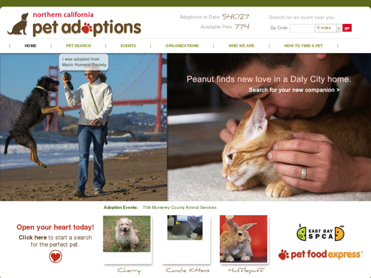 www.alamedapetadoption.com