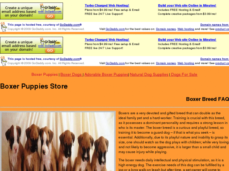 www.boxerpuppiesstore.org