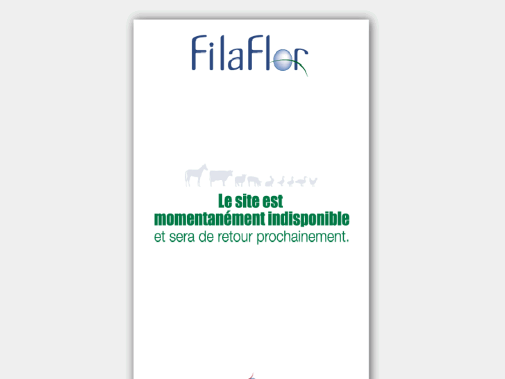 www.filaflor.com