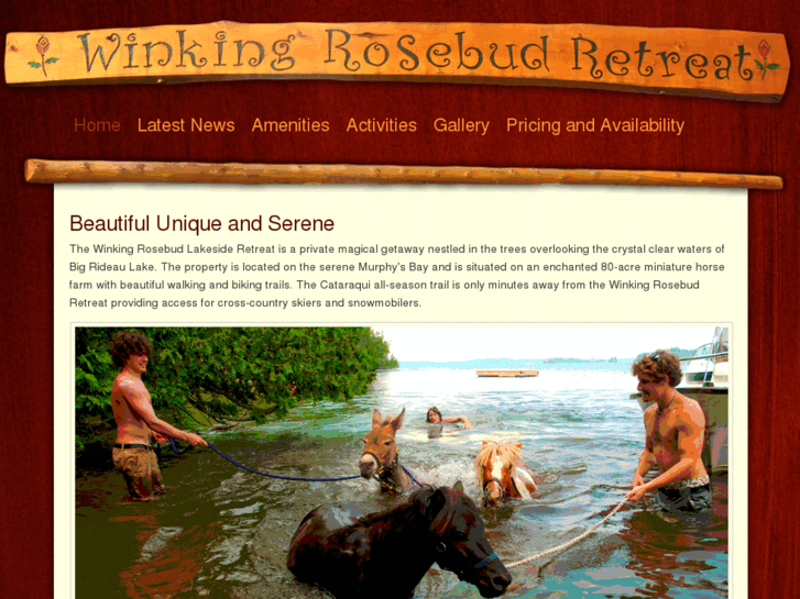 www.winkingrosebud.com