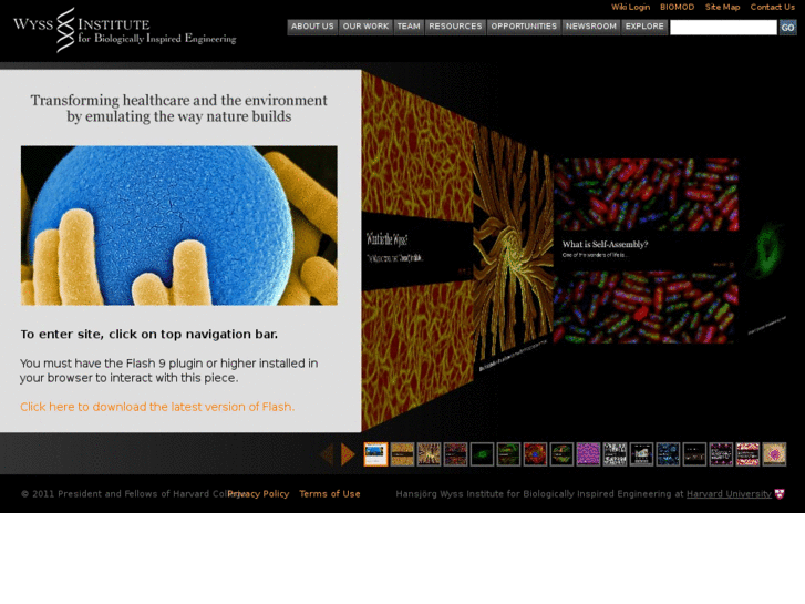 www.bioinspiredengineering.net