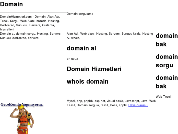 www.domainhizmetleri.com