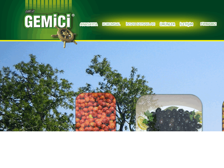 www.gemicizeytin.com