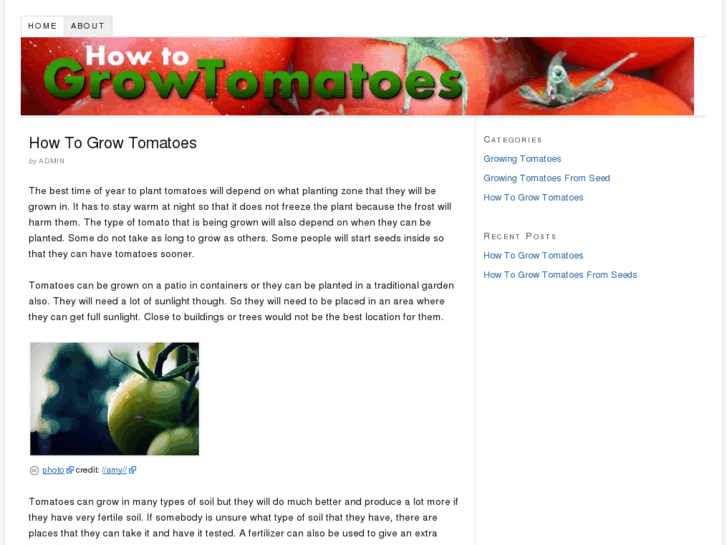 www.howtogrowtomatoes.net