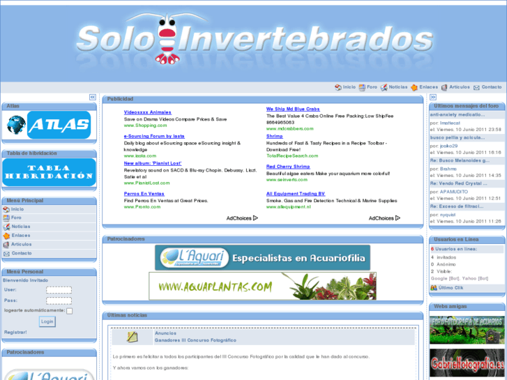 www.soloinvertebrados.es