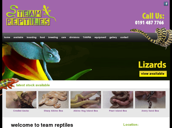 www.teamreptiles.com