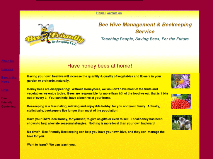 www.beefriendlybeekeeper.com