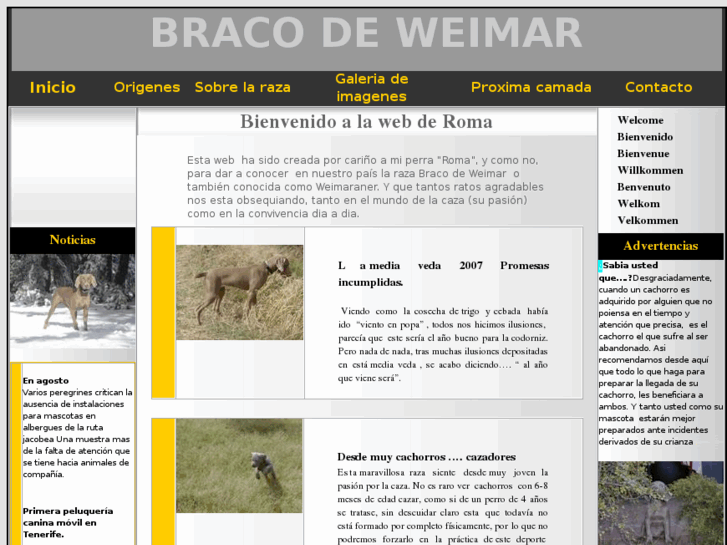 www.bracodeweimar.es