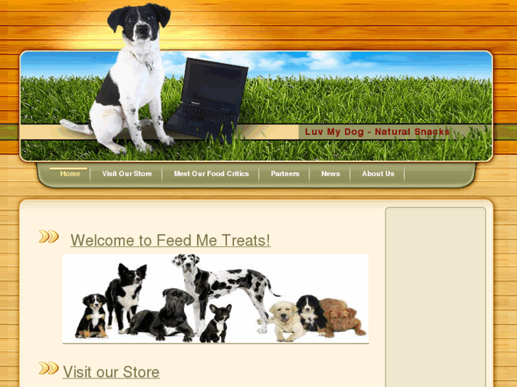 www.feedmetreats.com