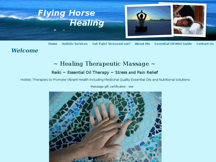 www.flyinghorsehealingarts.com