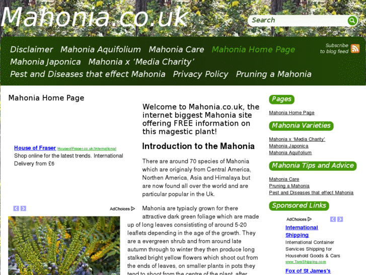 www.mahonia.co.uk