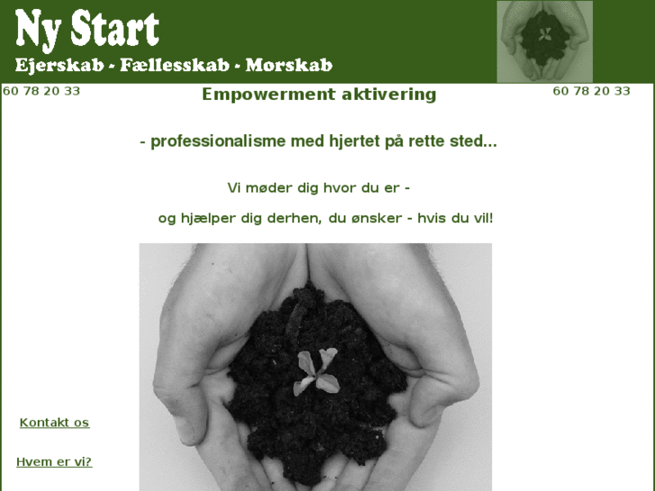 www.ny-start.com